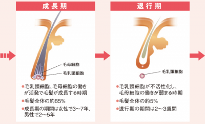 image2.png